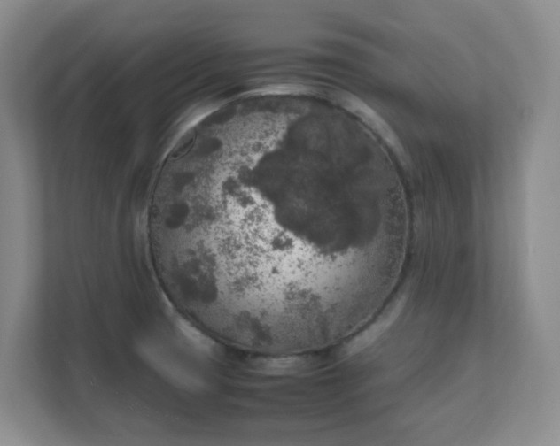 X0000111631425200907241041