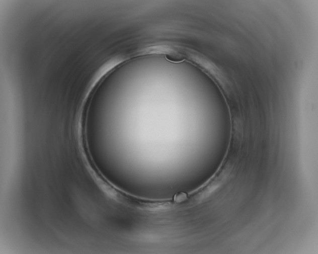 X0000111631426200907241041