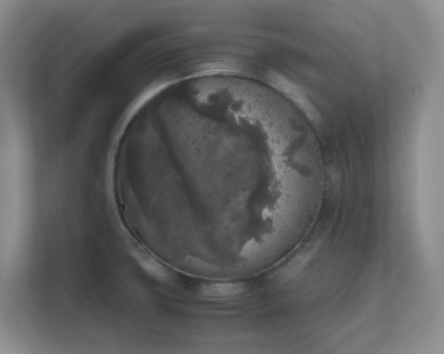 X0000111631427200907241041