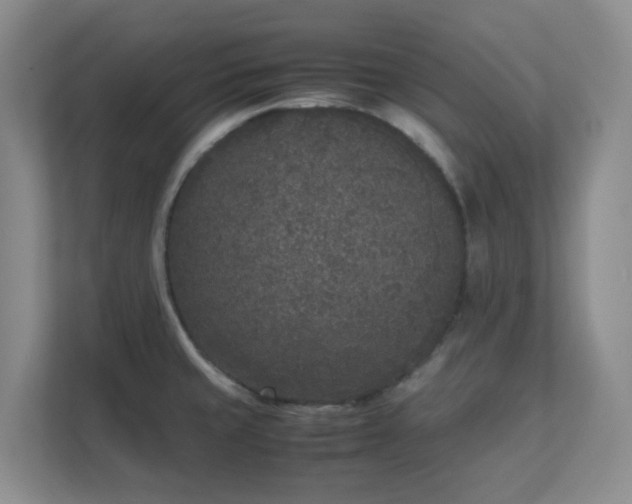 X0000111631429200907241041