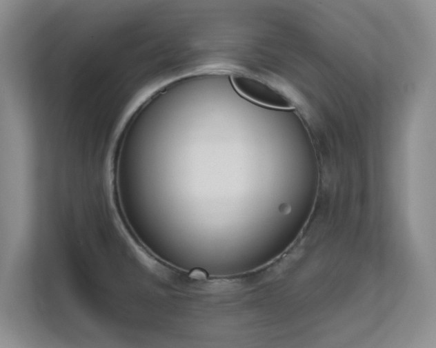 X0000111631430200907241041