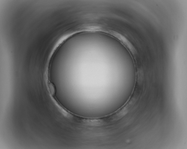 X0000111631432200907241041