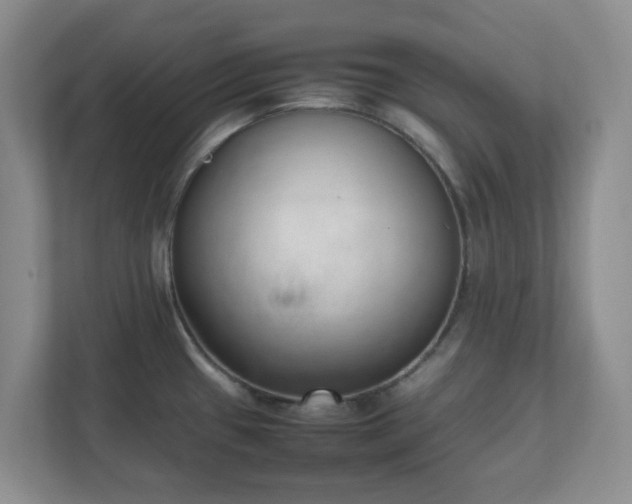 X0000111631433200907241041