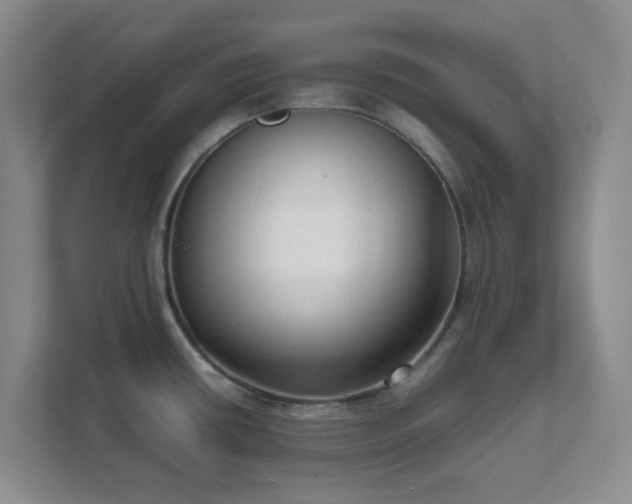 X0000111631434200907241041