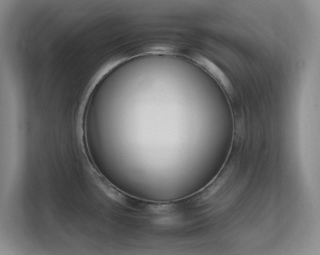 X0000111631435200907241041