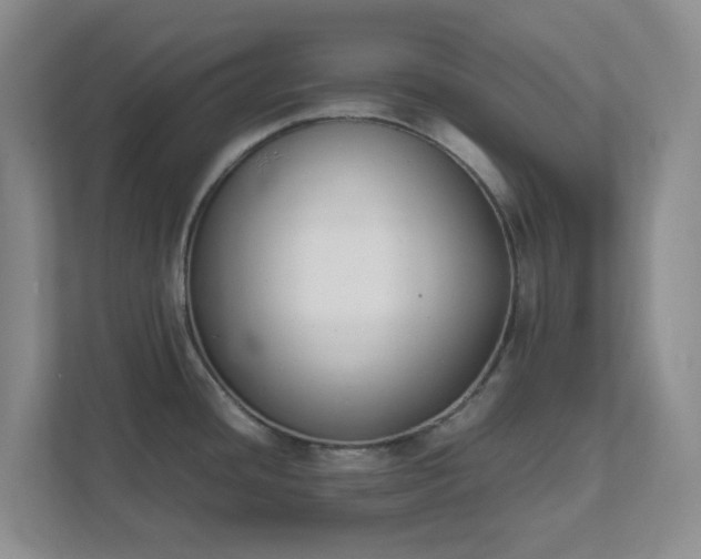 X0000111631436200907241041