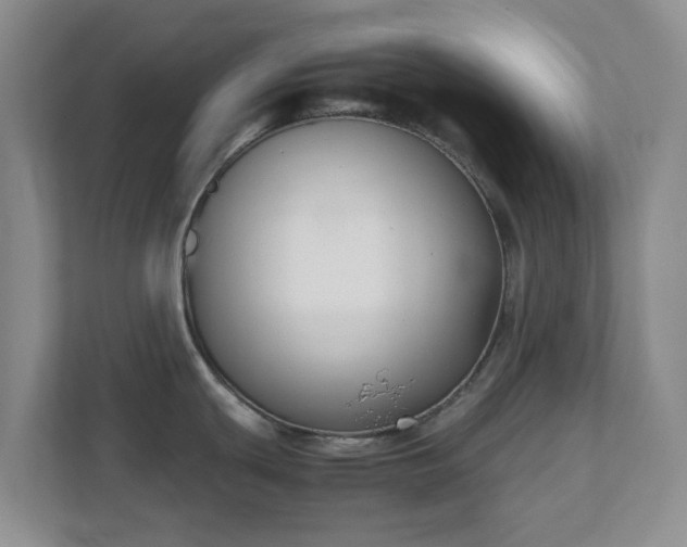 X0000111631439200907241041