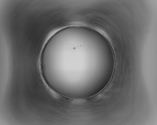 X0000111631440200907241041