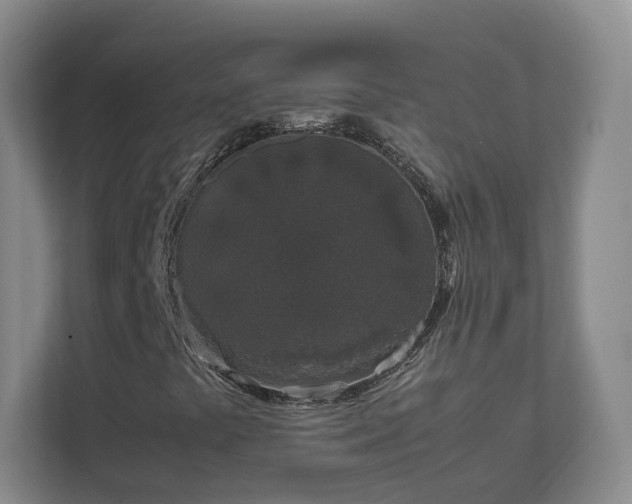 X0000111631441200907241041