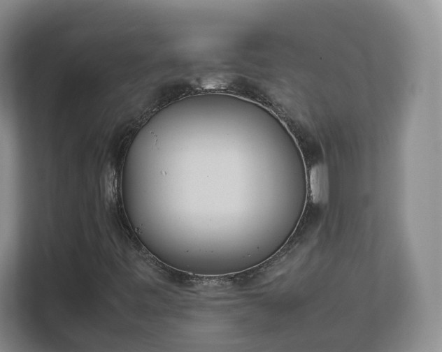 X0000111631443200907241041