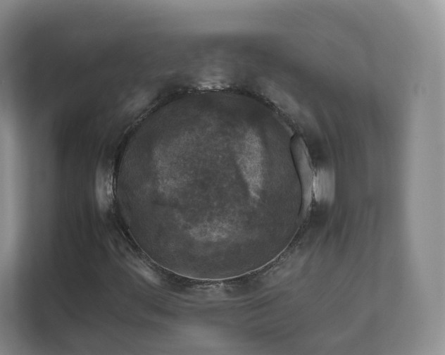 X0000111631444200907241041