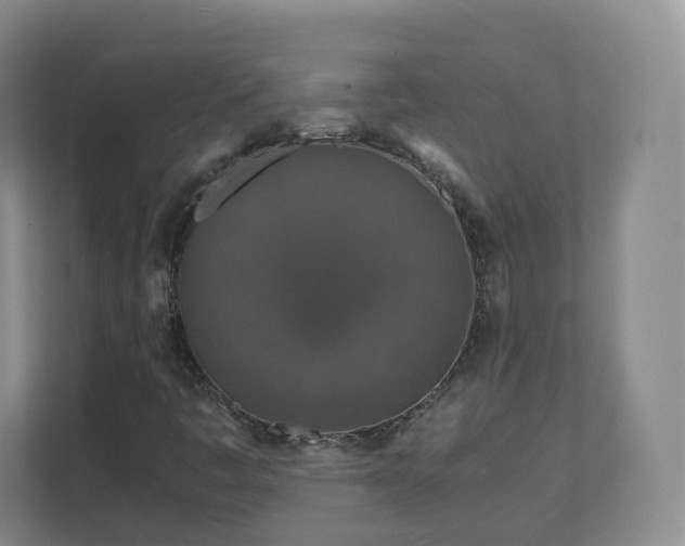 X0000111631445200907241041