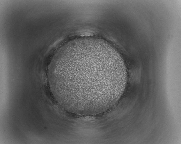 X0000111631446200907241041