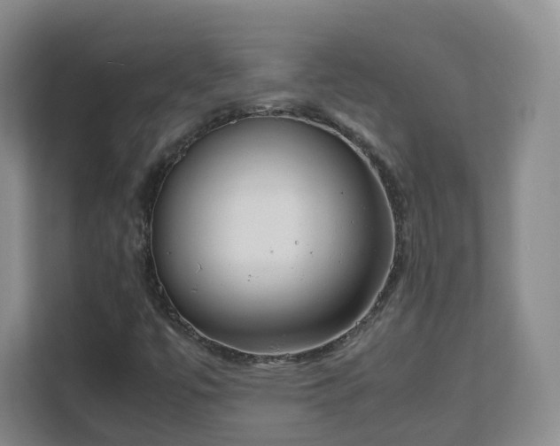 X0000111631447200907241041