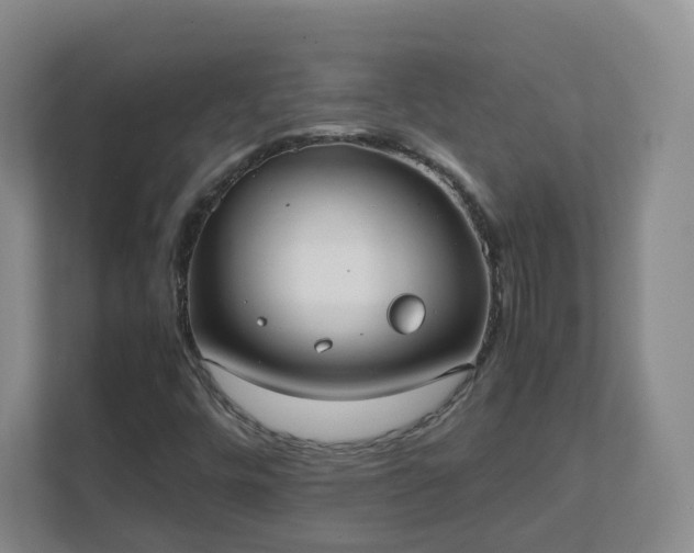 X0000111631448200907241041