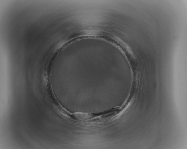 X0000111631449200907241041