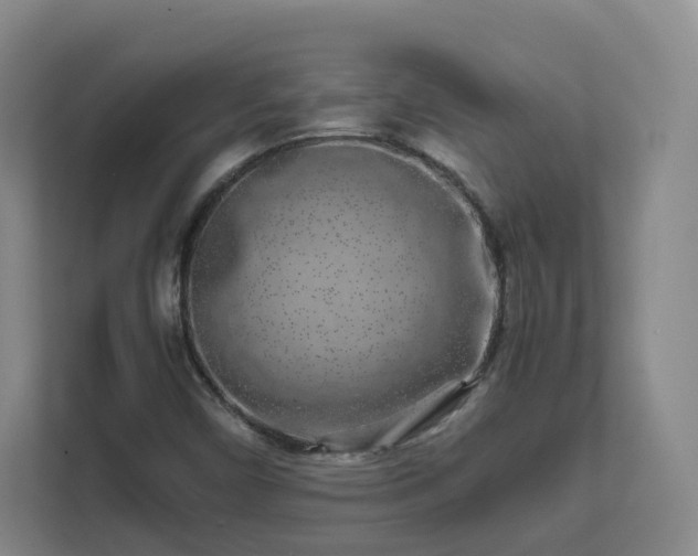 X0000111631450200907241041