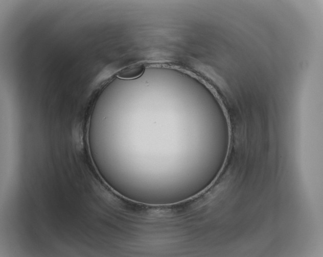 X0000111631451200907241041