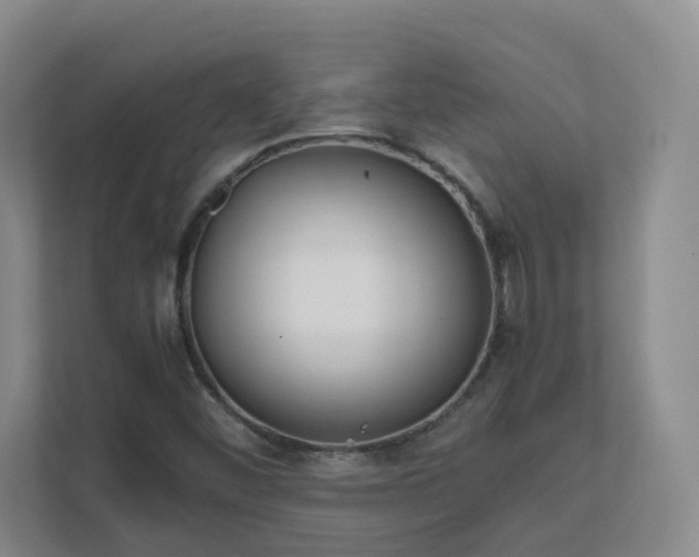 X0000111631452200907241041