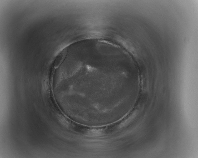 X0000111631453200907241041