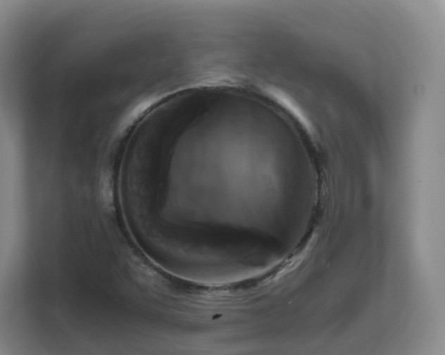 X0000111631455200907241041