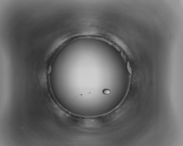 X0000111631456200907241041