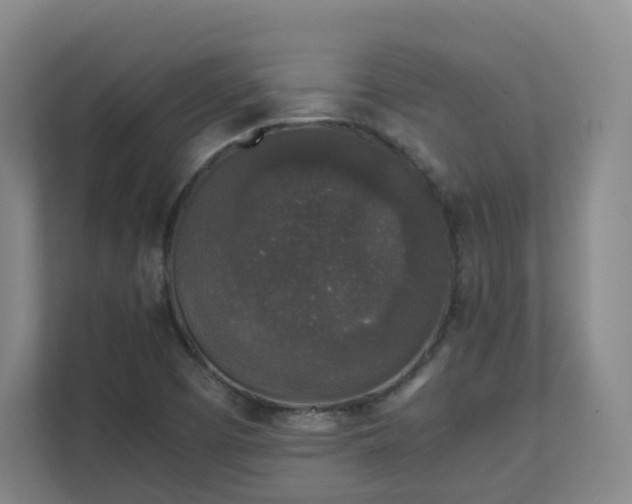 X0000111631457200907241041