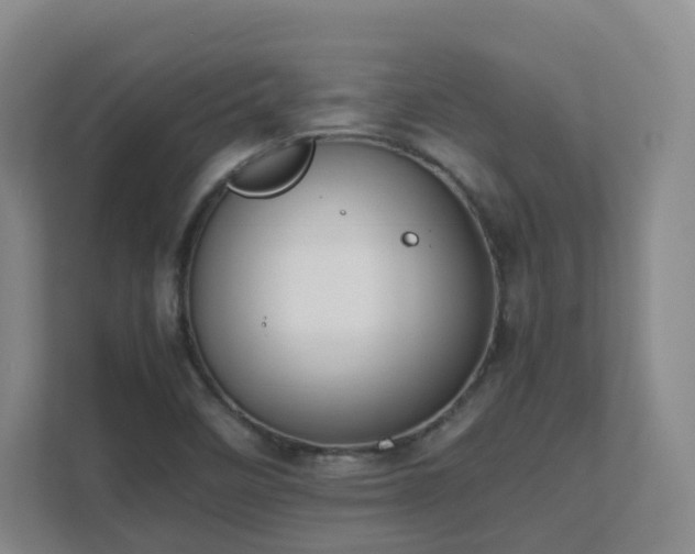 X0000111631458200907241040