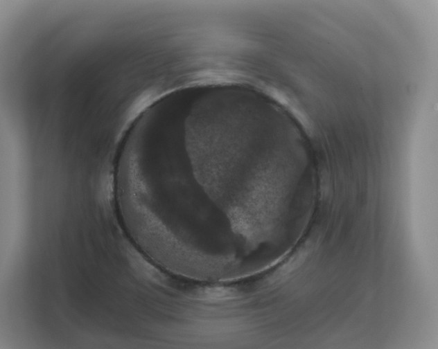 X0000111631459200907241040