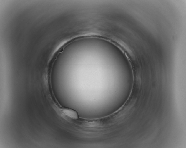 X0000111631460200907241040