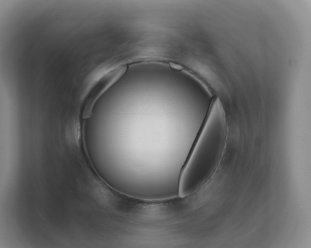 X0000111631461200907241040