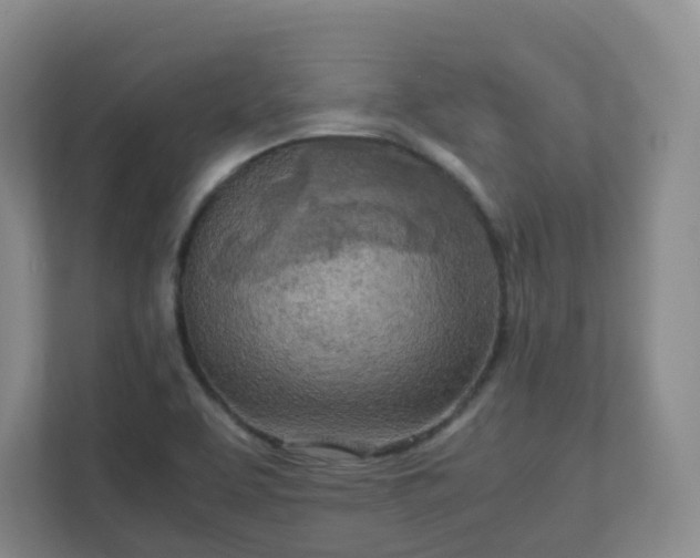 X0000111631463200907241040