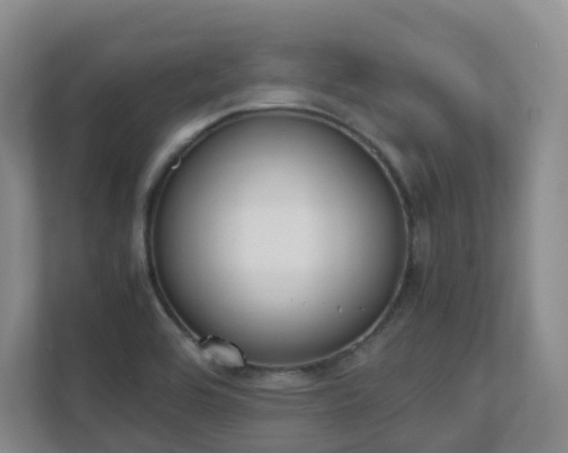 X0000111631464200907241040