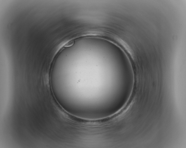 X0000111631465200907241040