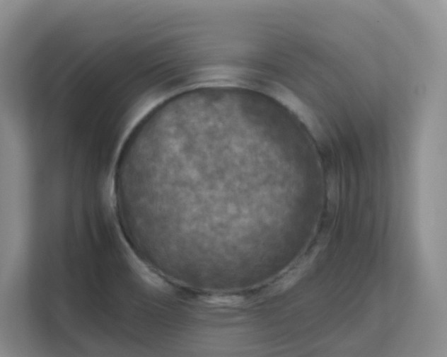 X0000111631466200907241040