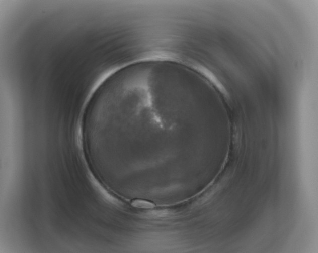 X0000111631468200907241040