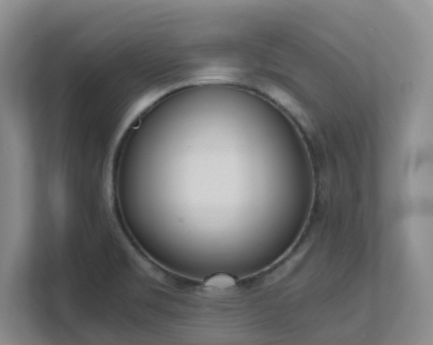 X0000111631469200907241040