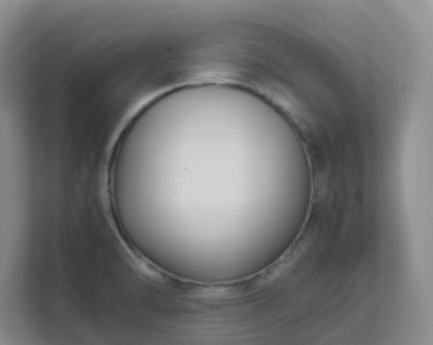 X0000111631470200907241040