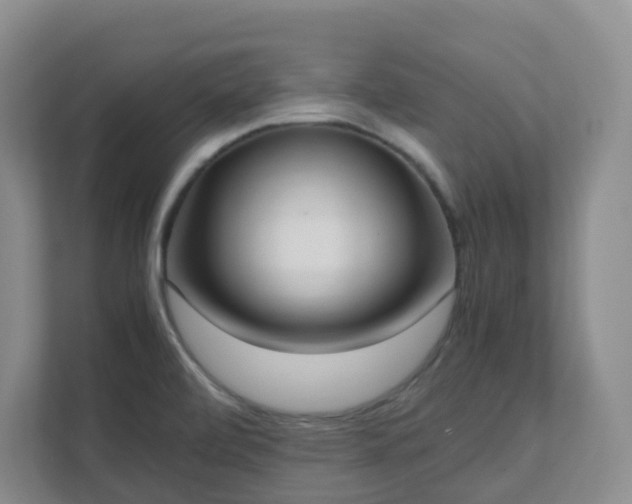 X0000111631472200907241040