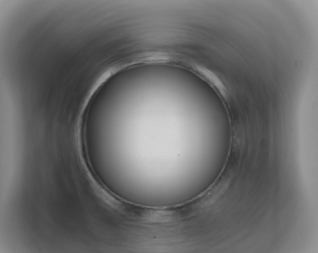 X0000111631475200907241040