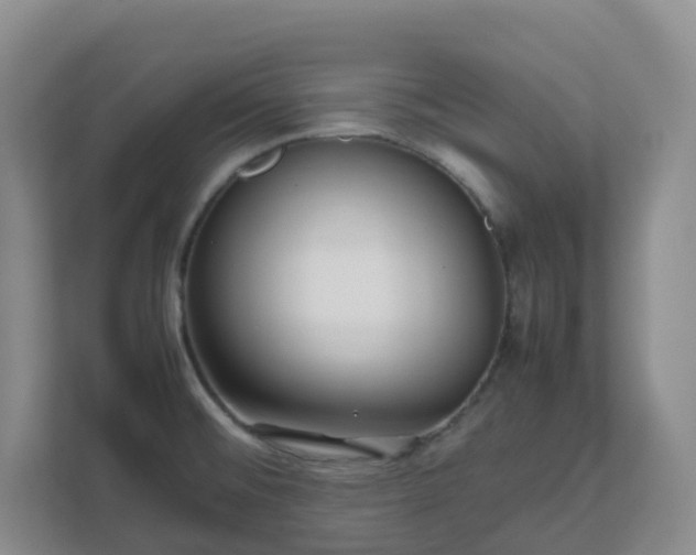 X0000111631476200907241040