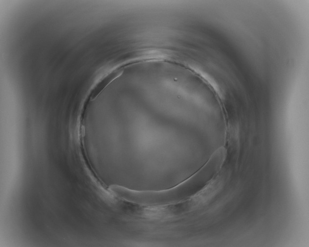 X0000111631477200907241040