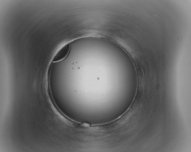 X0000111631479200907241040