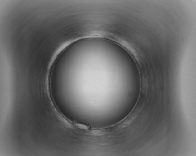 X0000111631480200907241040