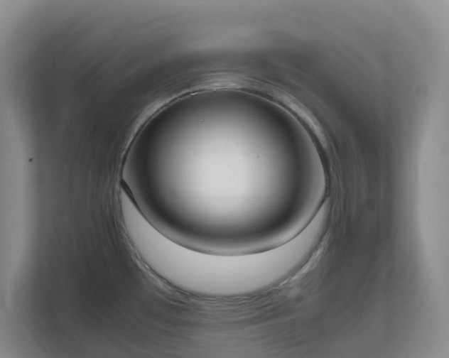 X0000111631481200907241040