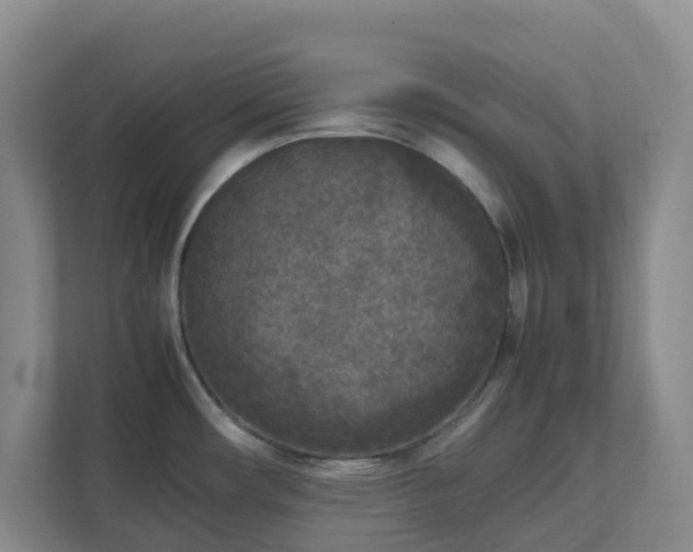 X0000111631482200907241040