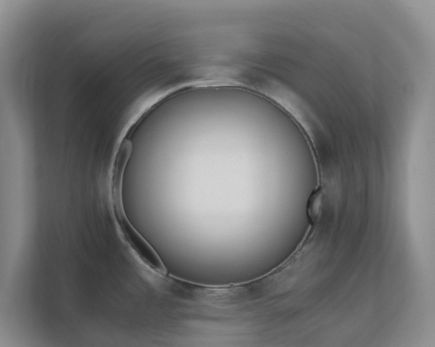 X0000111631485200907241040