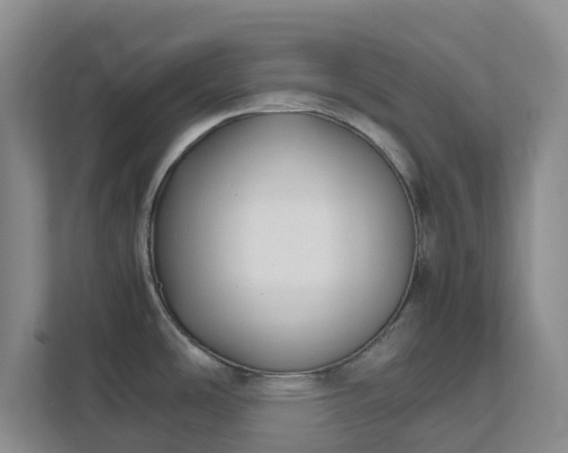 X0000111631486200907241040