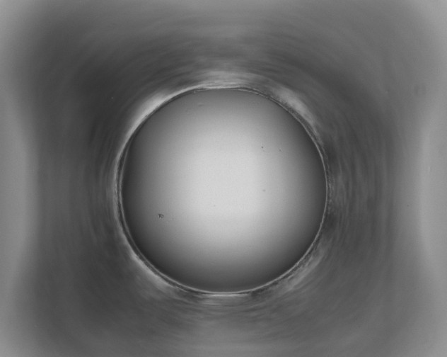 X0000111631487200907241040