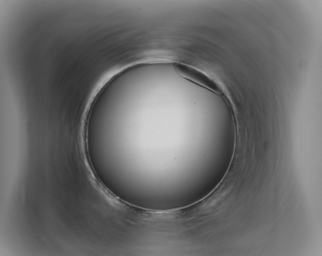 X0000111631488200907241040